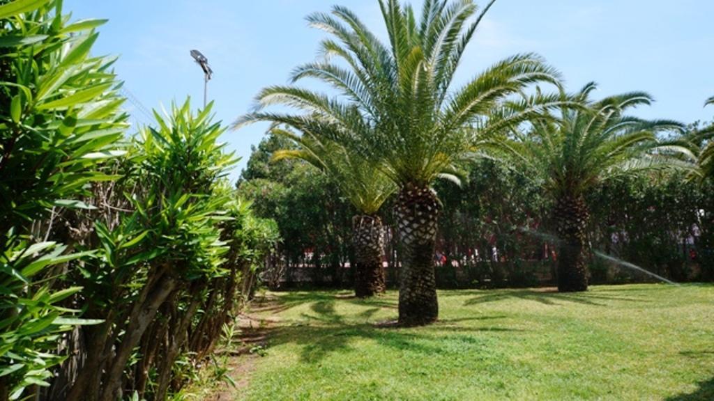 Апартаменты Patio Andaluz Дения Экстерьер фото
