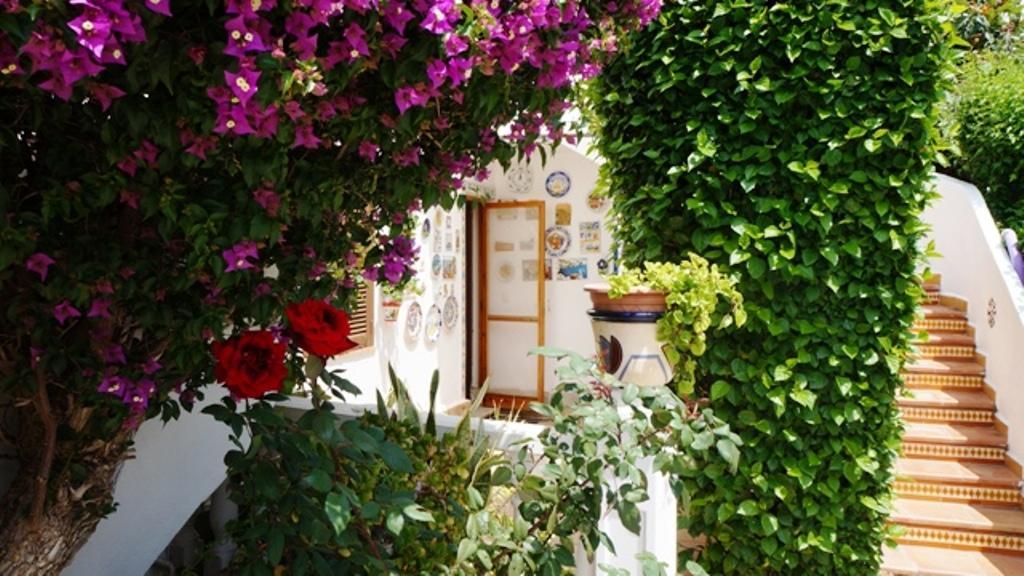 Апартаменты Patio Andaluz Дения Экстерьер фото
